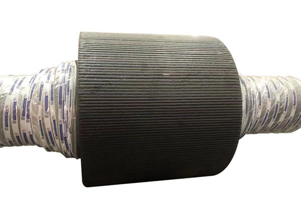 롤러 프레스의 압출 롤러.jpg